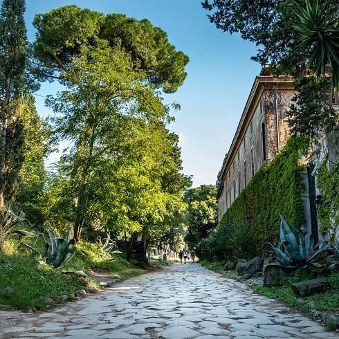 The Appian way, Via Appia Antica
1150350481
park, antica, appia, appian, beautiful, country, countryside, culture, european, historic, italian, landmark, landscape, mediterranean, outdoor, path, pine, roads, roma, rome, rural, southern, stone, transport, via, way