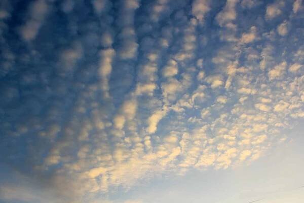Cirrocumulus clouds