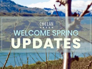 March Newsletter - Welcome Spring