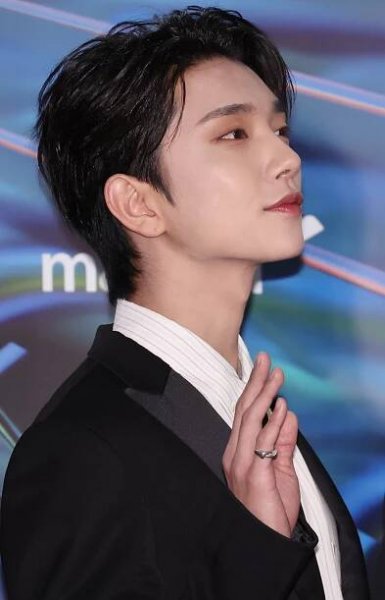 SEVENTEEN and BSS at the 38th Golden Disc Awards | Celeb Confirmed