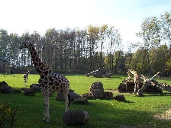 Ostravská zoo o víkendu znovu uvítá návštěvníky, nepřístupná zatím zůstává Cesta stínu