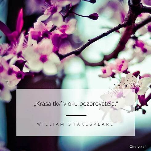 William Shakespeare citát: „Krása tkví v oku pozorovatele.“