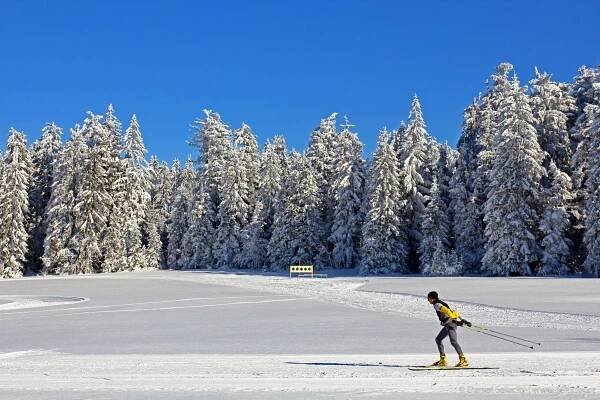 Fotogalerie penzion Terezka Frymburk, Lipno, Šumava | Penzion Terezka Frymburk | Lipno