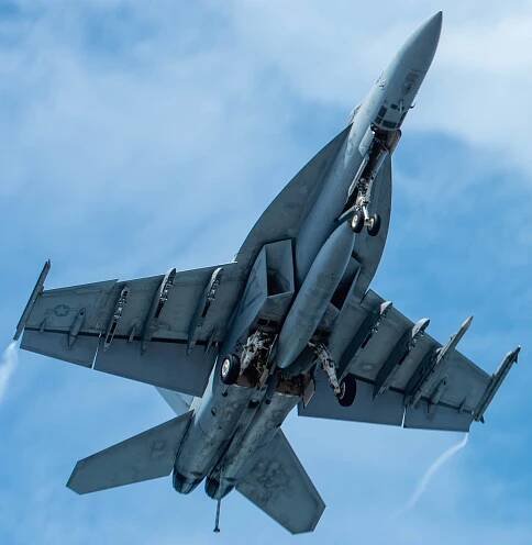 vfa-195 dambusters f/a-18e super hornet strike fighter squadron navy cvw-5 cvn-76 uss ronald reagan 172