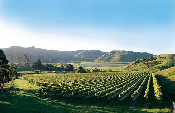 Gisborne by New Zealand Winegrowers Media Gallery