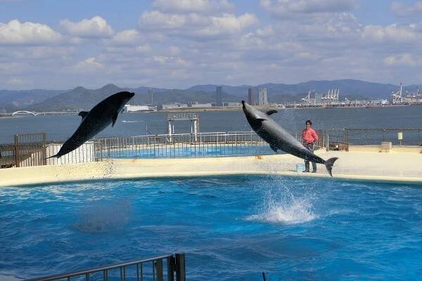 Fukuoka Prefecture: All You Must Know Before You Go (2025) - Tripadvisor