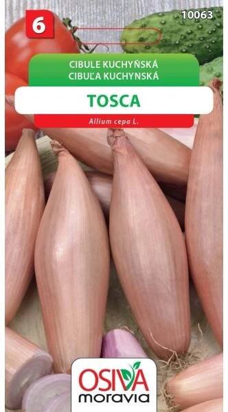 Semínka Cibule kuchyňská Tosca (Allium cepa L.) nakoupit u OBI