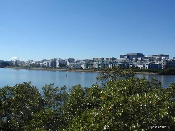Sydney Olympic Park - Badu Mangroves