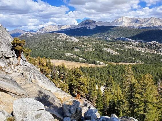 Yosemite Wilderness by Rene Voss