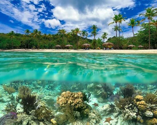 Colorful coral reef with many fishes and sea turtle. The people at snorkeling underwater tour at the Caribbean Sea at Honeymoon Beach on St. Thomas, USVI - travel concept — Stock obrázek