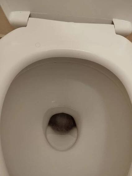 Jak vyčistit wc