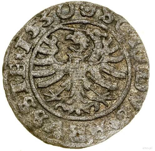 Zikmund I. Starý, šilink 1530, Toruń - Numismatika