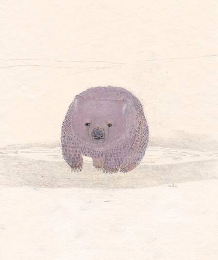 animal portrait i“ iru “ | ado(makiko watanabe) homepage
