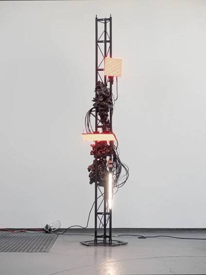 A tall black metal structure with red lights and cables, featuring an organic, textured element at its center against a white wall.