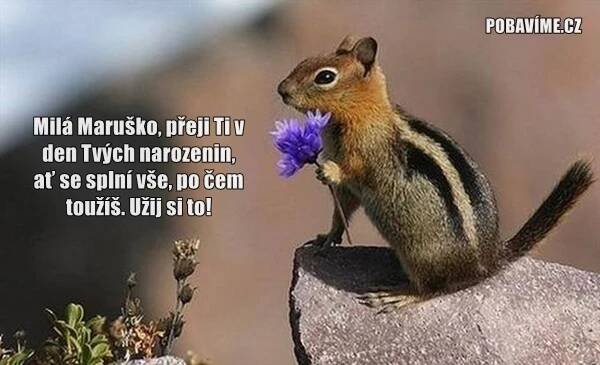 Přání k narozeninám pro Marii (Marušku) | Pobavime.cz