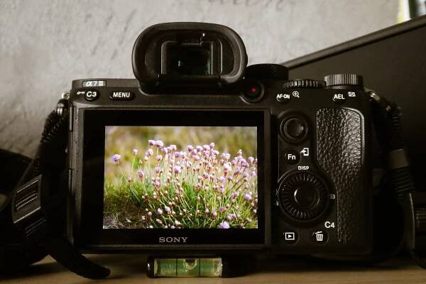 a sony camera screen is shooting