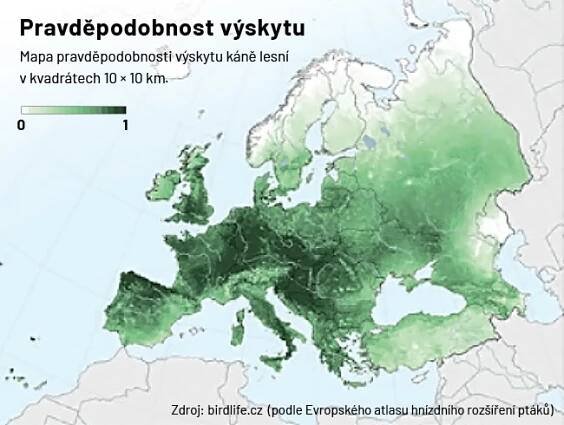 Ptákem roku 2021 je káně lesní. Rozšířeného dravce ohrožuje hlavně hubení hrabošů - Aktuálně.cz