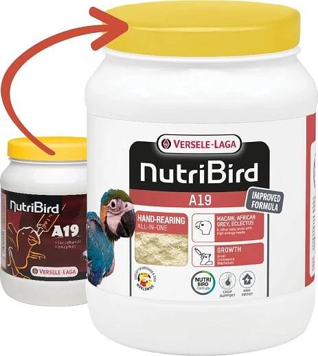 Dokrmovací směs pro papoušky a ptáky Nutribird A19 800g