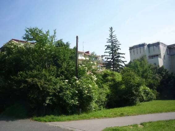Naše činnost – Zelení z Prahy 6