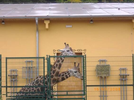 Zájezd do ZOO a DINOPARKU v Plzni - Oficiální stránky obce Kleneč