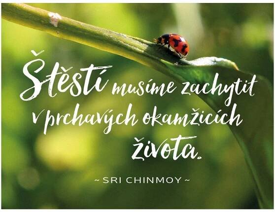 Štěstí musíme zachytit v prchavých okamžicích života - Sri Chinmoy