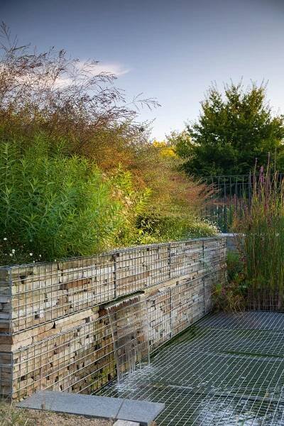 A garden that merges into the New Forest, designed by Helen Elks-Smith | Gardens Illustrated