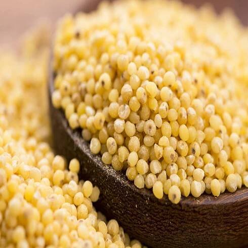 SHAMA-CEREAL-GRAINS-MILLET