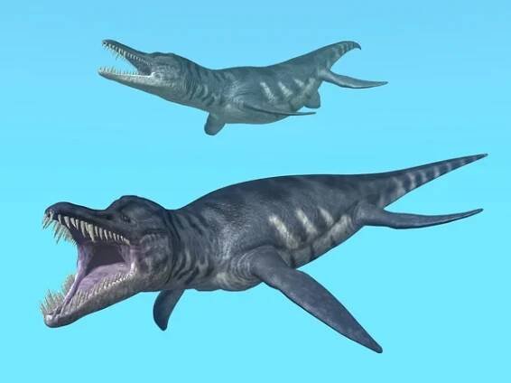 Liopleurodon — Stock obrázek