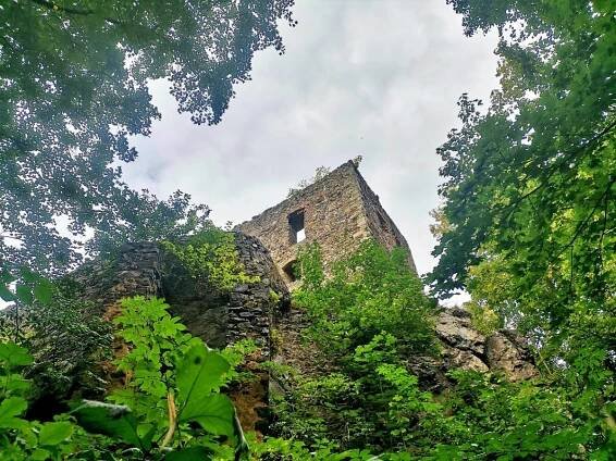 Zřícenina hradu Vlčtejn | TuristickaMapa.cz