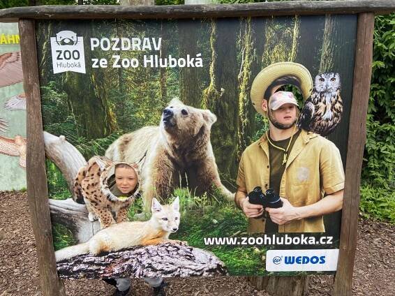 Školní výlet Zoo Hluboká | MŠ Školní