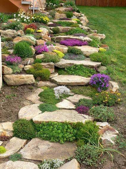 Rock Garden Design Ideas