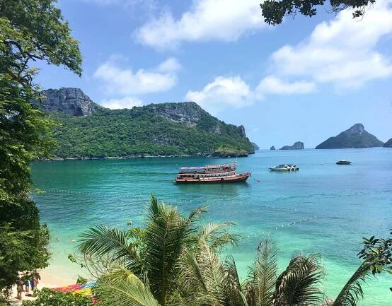 Keeping it plant Based | Koh Samui Thailand