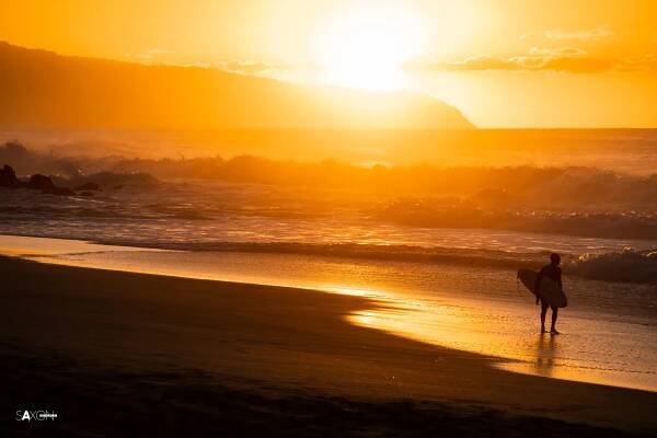 Landscapes - Alex Saxon Productions