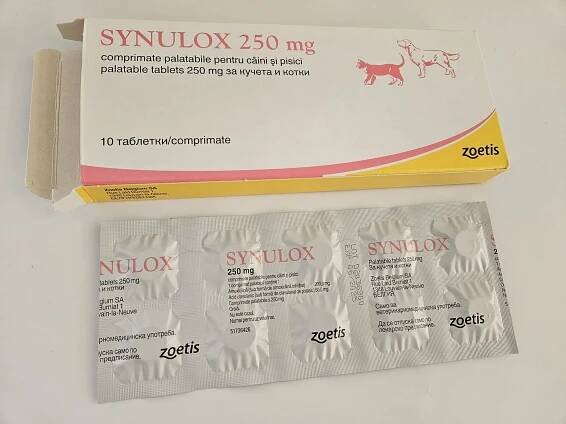 SYNULOX – 250 mg – 10 tablets - Image 2