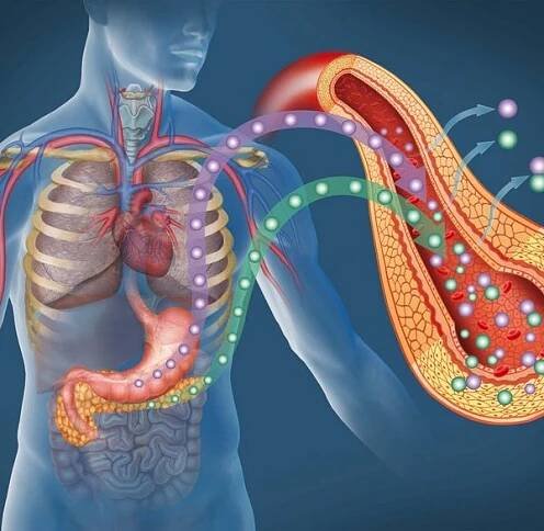 Co je diabetes?