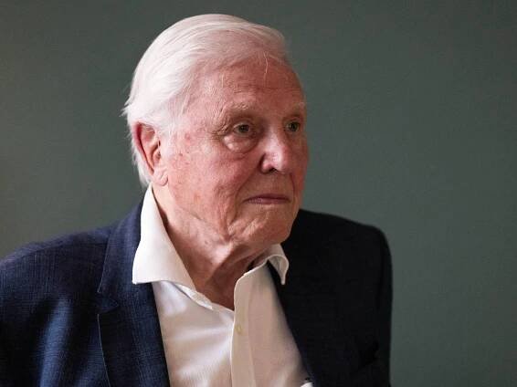 David Attenborough came close to drowning due to faulty 1950s scuba diving equipment