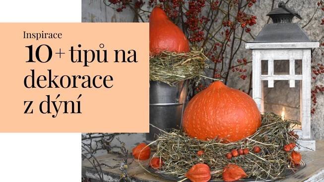 10+ tipů na podzimní dekorace z dýní: Rychle a jednoduše