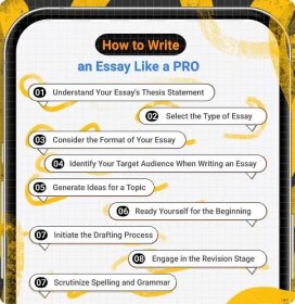 how to write an essay like a pro