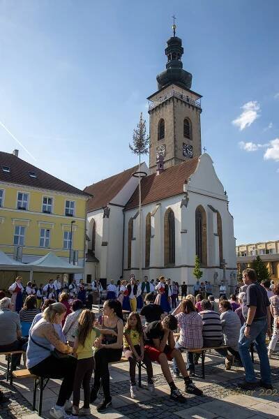 Jaro dorazilo do Soběslavi. Chasa mladá postavila máj a uspořádala veselici