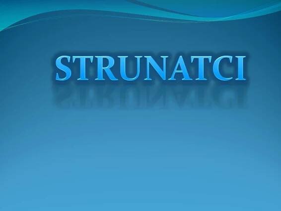 PPT - STRUNATCI PowerPoint Presentation, free download - ID:6164747