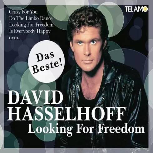 David Hasselhoff: Looking For Freedom - Das Beste! CD