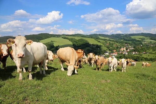 O Asociaci soukromého zemědělství ČR