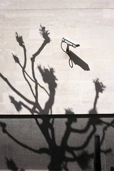 David Gibson - UP Photographers