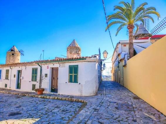 a cobblestone street with low white houses with green shutters and 3 wind-mills at the background and a palm tree; the El Jonquet neighbourhood in Palma de Mallorca