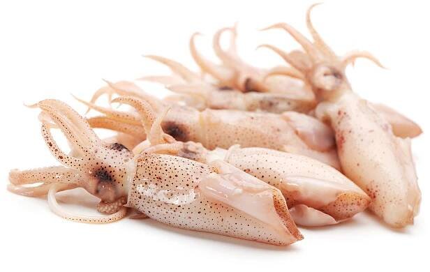 KALAMÁRY A CHOBOTNICE | Ocean Food | Wolt