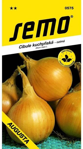 Cibule ozimá - Augusta 2g
