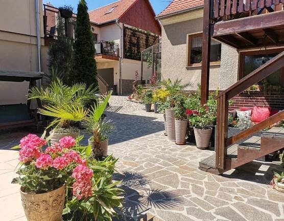 Apartmány Aranka
