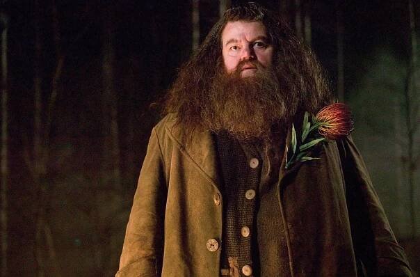 Robbie Coltrane fotka