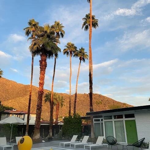 THE THREE FIFTY HOTEL - Prices & Reviews (Palm Springs, CA)