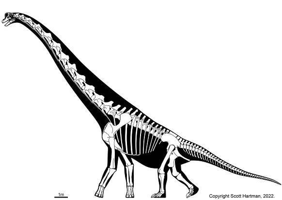 GEOL 104 Sauropodomorpha: Size Matters!